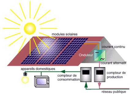 Énergies renouvelables : les panneaux photovoltaïques